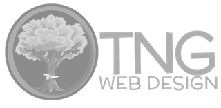 A gray logo of the web designer TNG Web Design